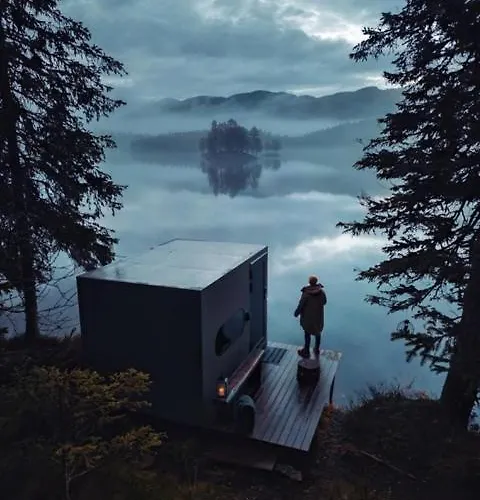 Birdbox Tokke *